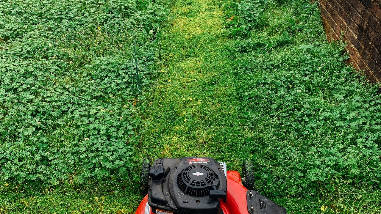 Best Lawn Mower For 1/2 Acre Lot
